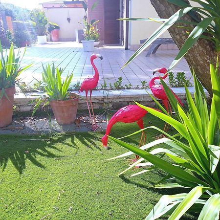Casa Giardino Leilighet San Benedetto del Tronto Eksteriør bilde