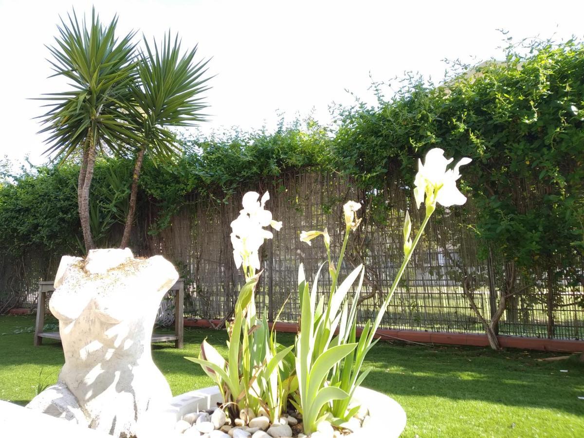 Casa Giardino Leilighet San Benedetto del Tronto Eksteriør bilde