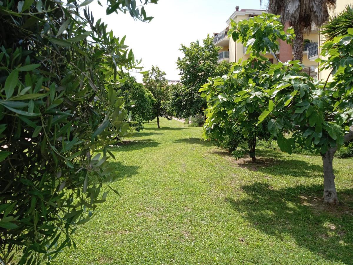 Casa Giardino Leilighet San Benedetto del Tronto Eksteriør bilde