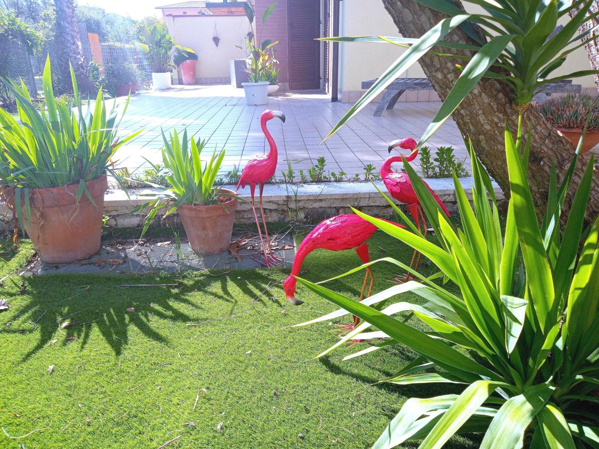 Casa Giardino Leilighet San Benedetto del Tronto Eksteriør bilde
